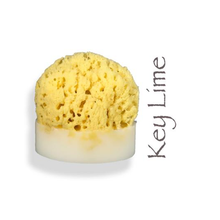 Sea Sponge Soap - VegoGlam (The Vegan Cosmetics Store)