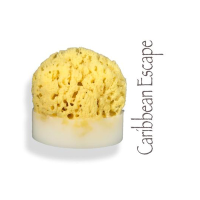 Sea Sponge Soap - VegoGlam (The Vegan Cosmetics Store)