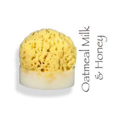 Sea Sponge Soap