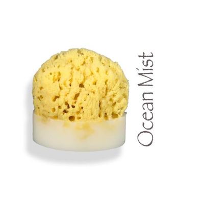 Sea Sponge Soap - VegoGlam (The Vegan Cosmetics Store)