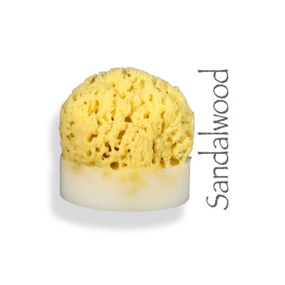 Sea Sponge Soap - VegoGlam (The Vegan Cosmetics Store)