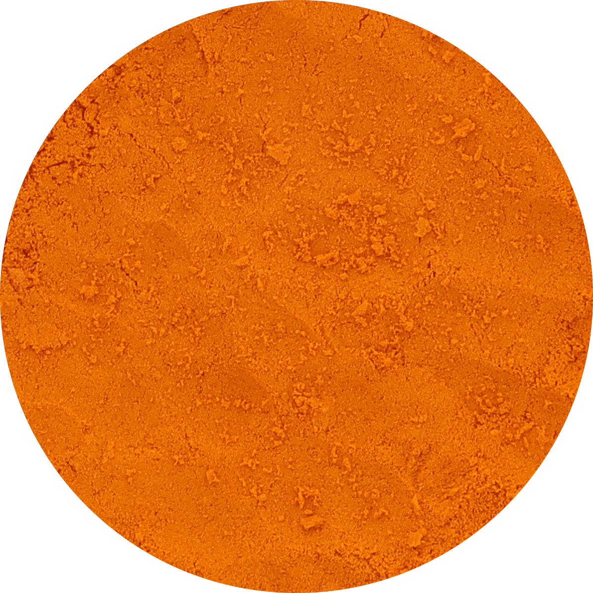 Freeze Dried Sea Buckthorn Powder - Vegan America