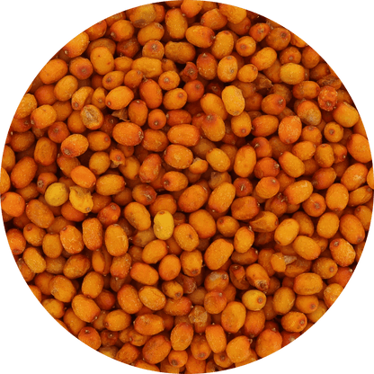 Freeze Dried Wild Sea Buckthorn - Vegan America