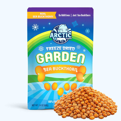 Freeze Dried Wild Sea Buckthorn - Vegan America