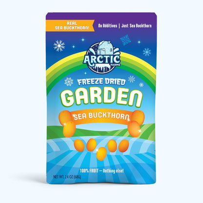 Freeze Dried Wild Sea Buckthorn - Vegan America