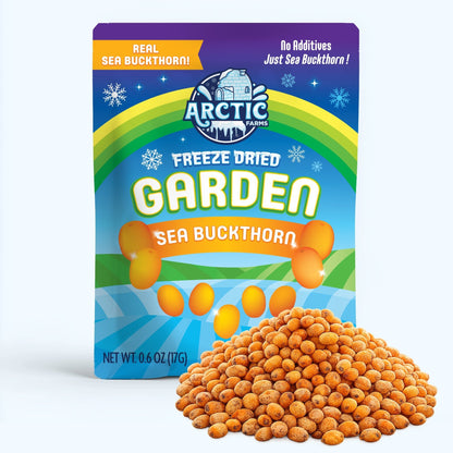 Freeze Dried Wild Sea Buckthorn - Vegan America