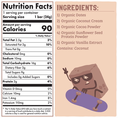 Skout Organic Chocolate Brownie Kids Bar - Vegan America