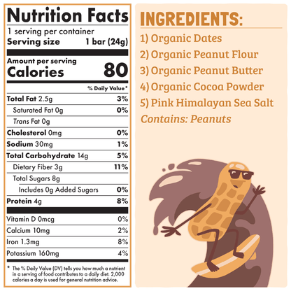 Skout Organic Chocolate Peanut Butter Kids Bar - Vegan America