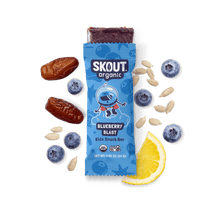 Skout Organic Blueberry Blast Kids Bar