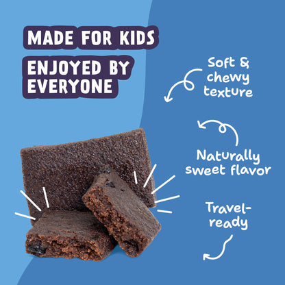 Skout Organic Blueberry Blast Kids Bar