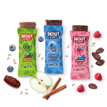 Skout Organic Kids Fruit Bar Variety Pack - Vegan America