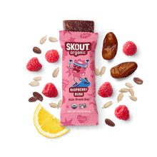 Skout Organic Raspberry Rush Kids Bar - Vegan America