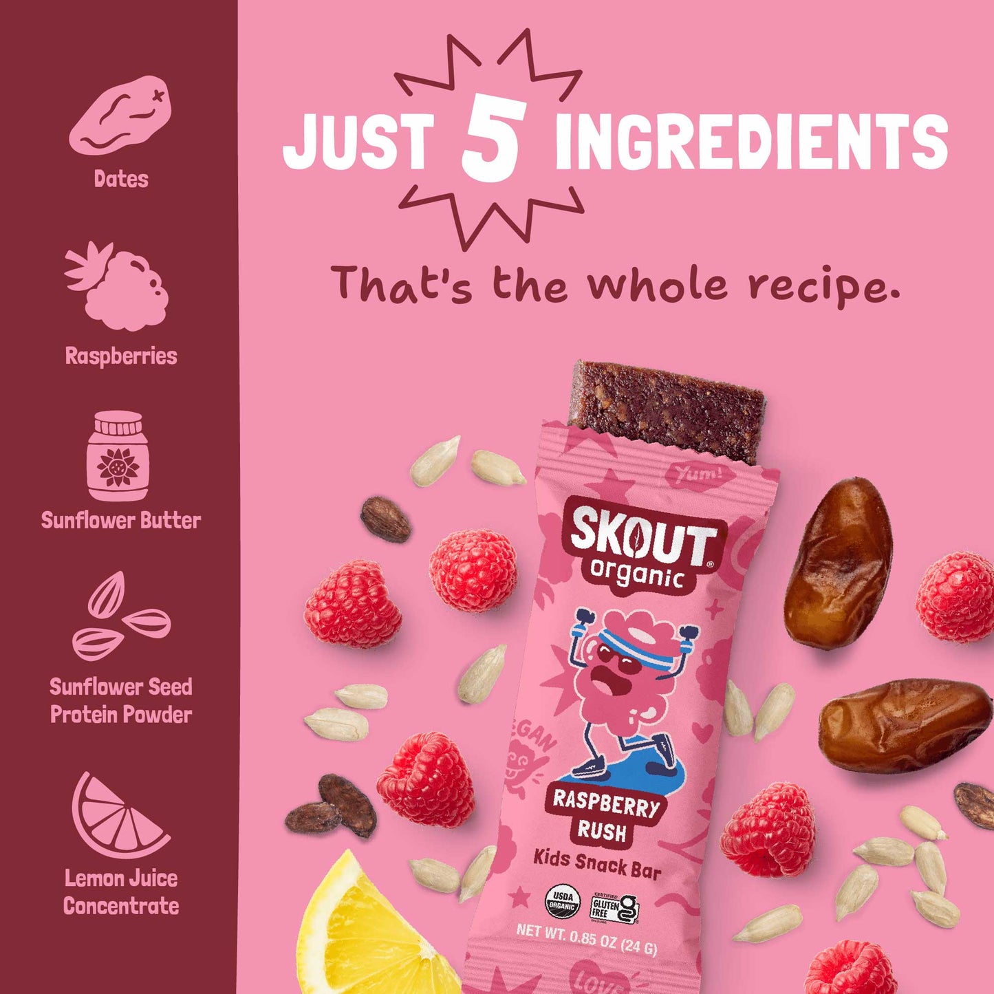 Skout Organic Raspberry Rush Kids Bar