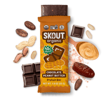 Skout Organic Chocolate Peanut Butter Protein Bar