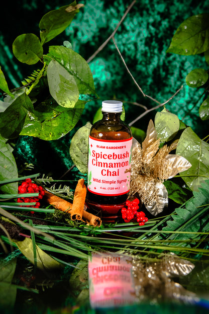 Spicebush Cinnamon Chai • Seasonal Specialty Simple Syrup Handcrafted with Wild Spicebush (Lindera Benzoin)