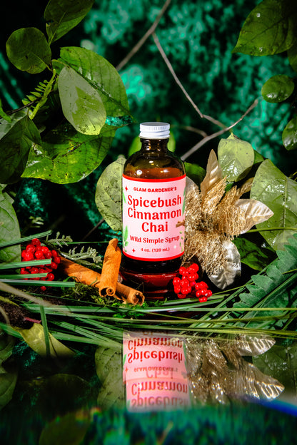 Spicebush Cinnamon Chai • Seasonal Specialty Simple Syrup Handcrafted with Wild Spicebush (Lindera Benzoin)