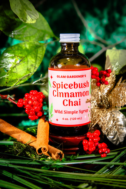 Spicebush Cinnamon Chai • Seasonal Specialty Simple Syrup Handcrafted with Wild Spicebush (Lindera Benzoin)
