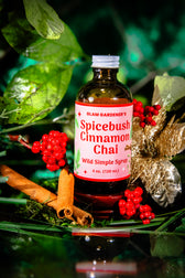 Spicebush Cinnamon Chai • Seasonal Specialty Simple Syrup Handcrafted with Wild Spicebush (Lindera Benzoin)