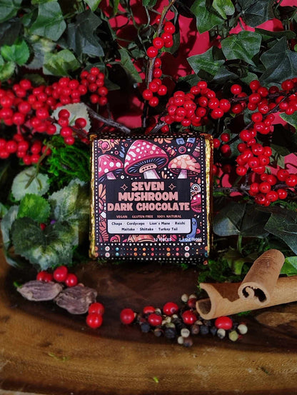 Stoffo’s 7 Mushroom Dark Chocolate Bar with Chaga, Reishi, Lion’s Mane, Turkey Tail, Cordyceps, Shiitake & Maitake