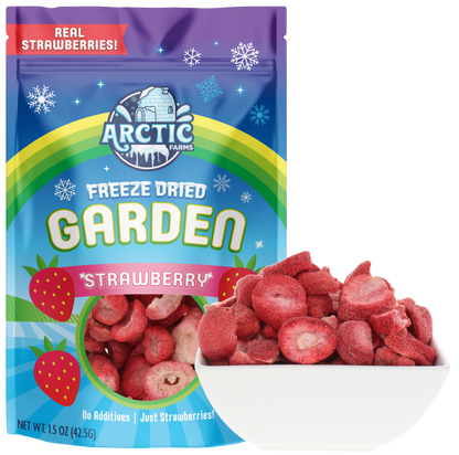 Freeze Dried Organic Strawberry Slices