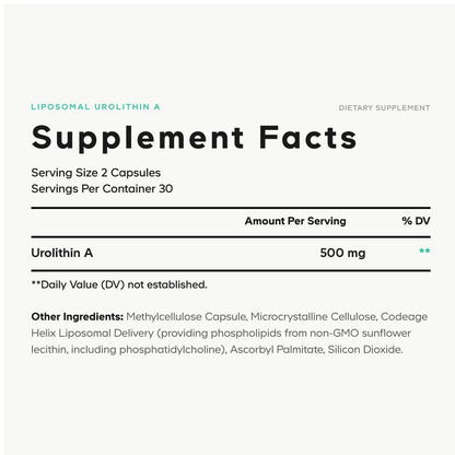 Liposomal Urolithin A