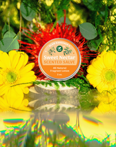 VEGAN Sweet Nectar Scented Salve • Honeysuckle-infused hydrating lotion & natural perfume - Vegan America