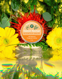 Vegan Sweet Nectar Scented Salve • Honeysuckle-infused hydrating lotion & natural perfume ⭐️ ON SALE ⭐️