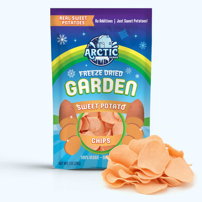 Freeze Dried Sweet Potato Chips