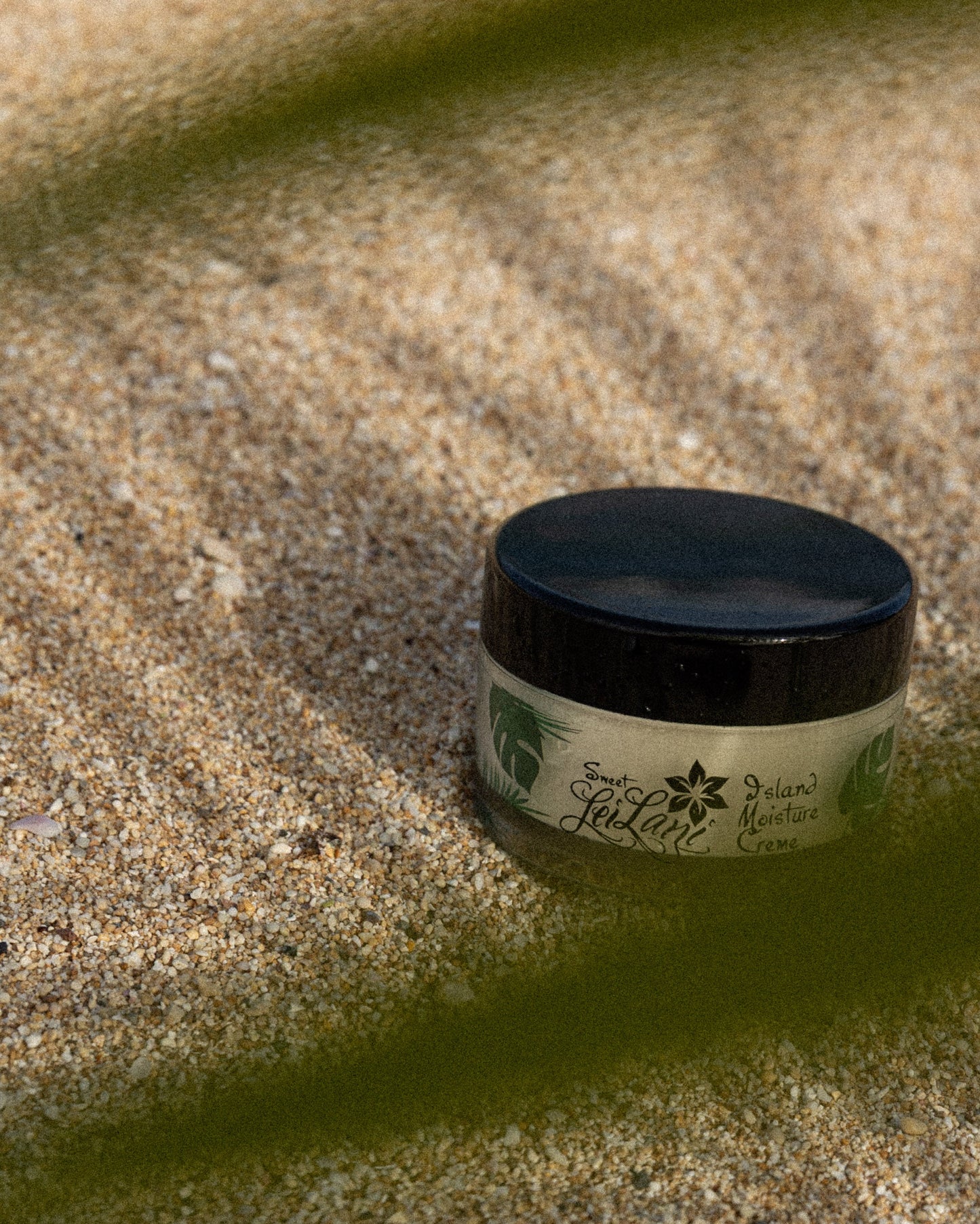 Island Moisture | Day/Night Cream & Hair Conditioner