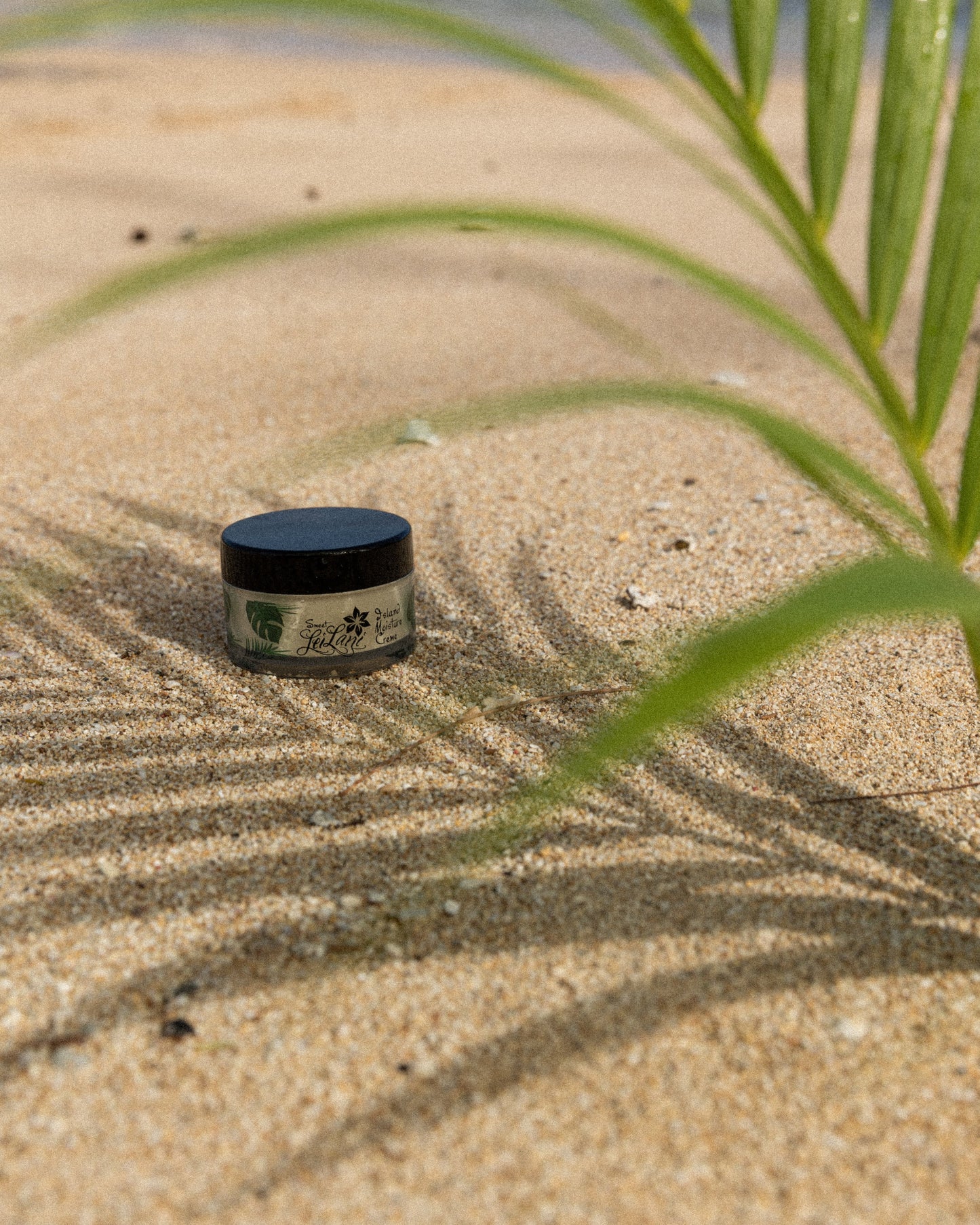 Island Moisture | Day/Night Cream & Hair Conditioner