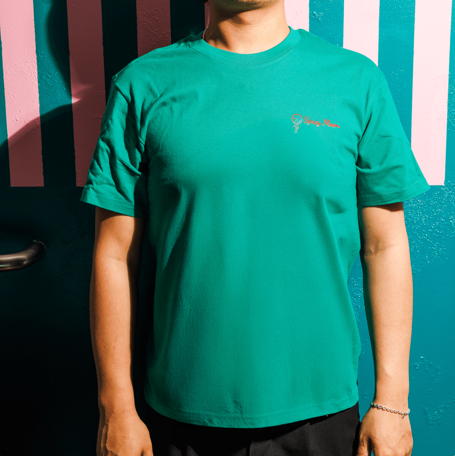 WE DEFEND ANIMAL T-shirt - Vegan America