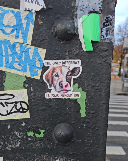 The Only Difference Is Your Perception