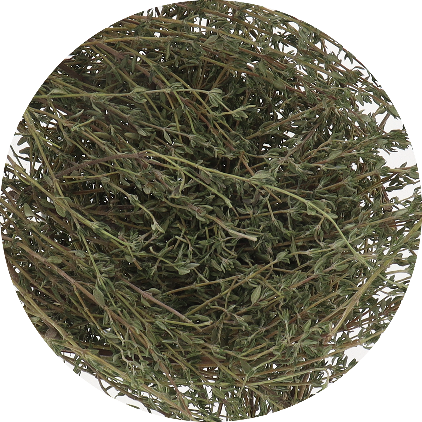 Freeze Dried Thyme