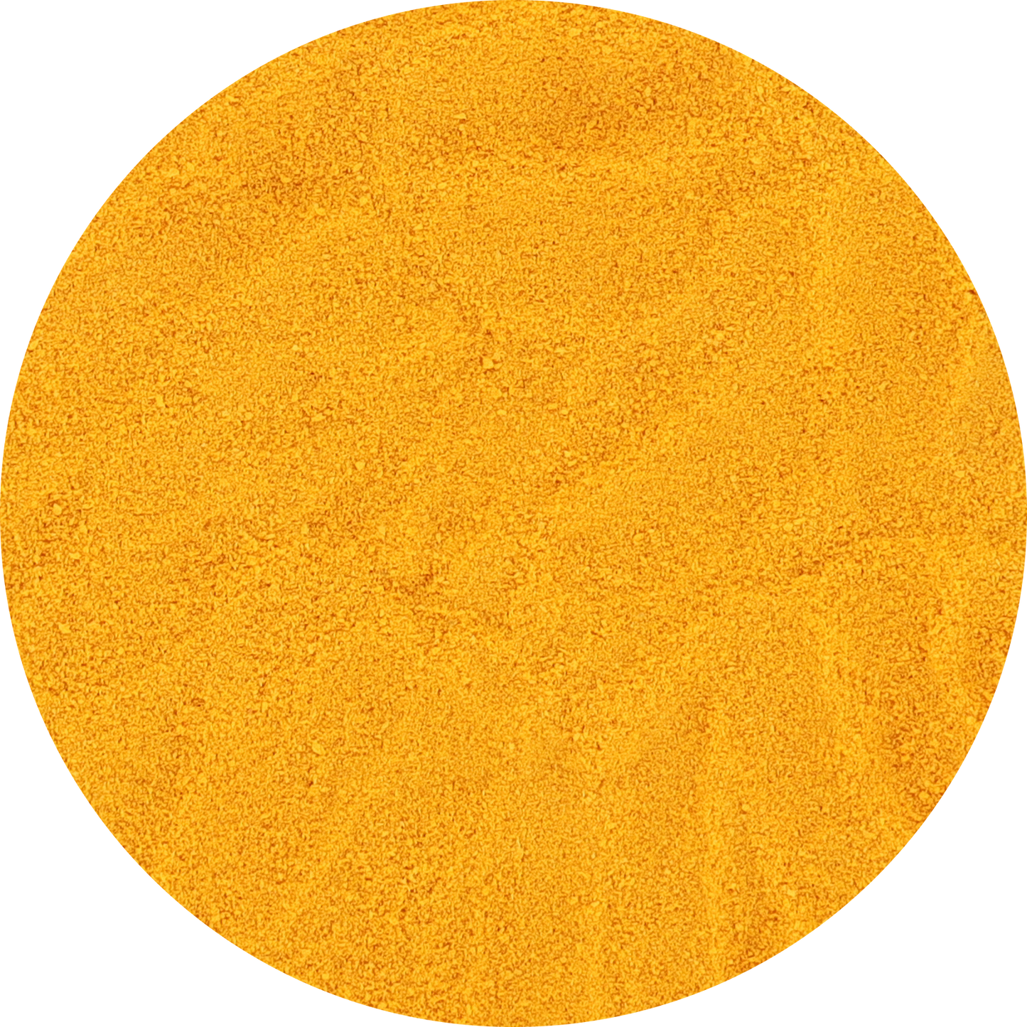Freeze Dried Turmeric Powder