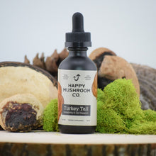 Turkey Tail Tincture - Vegan America