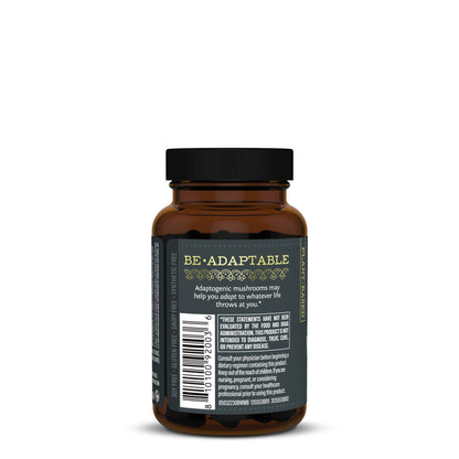 Be•Well Organic Mushroom Blend