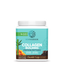 Collagen Building Protein Peptides Chocolate Fudge