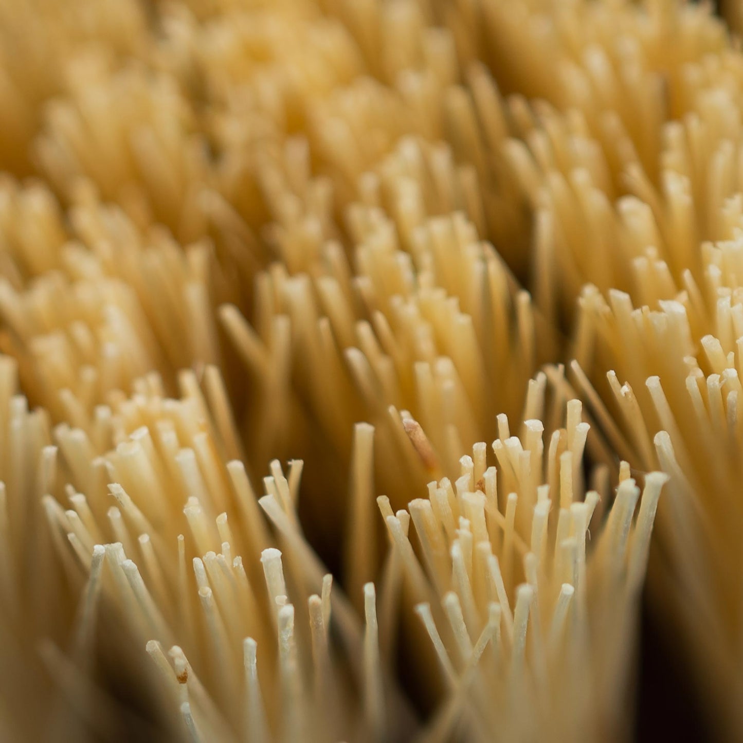 Ayurvedic Dry Body Brush - Vegan America