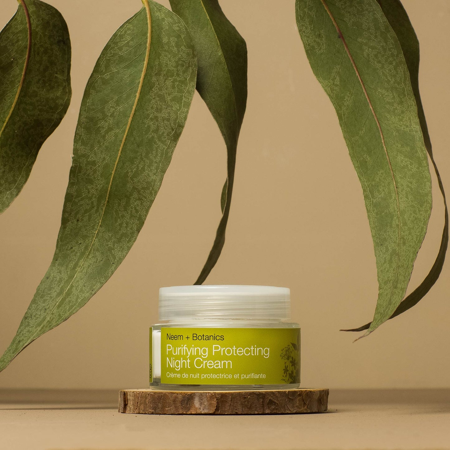 Purifying Night Cream | Skin Protect Overnight Hydrator - Vegan America