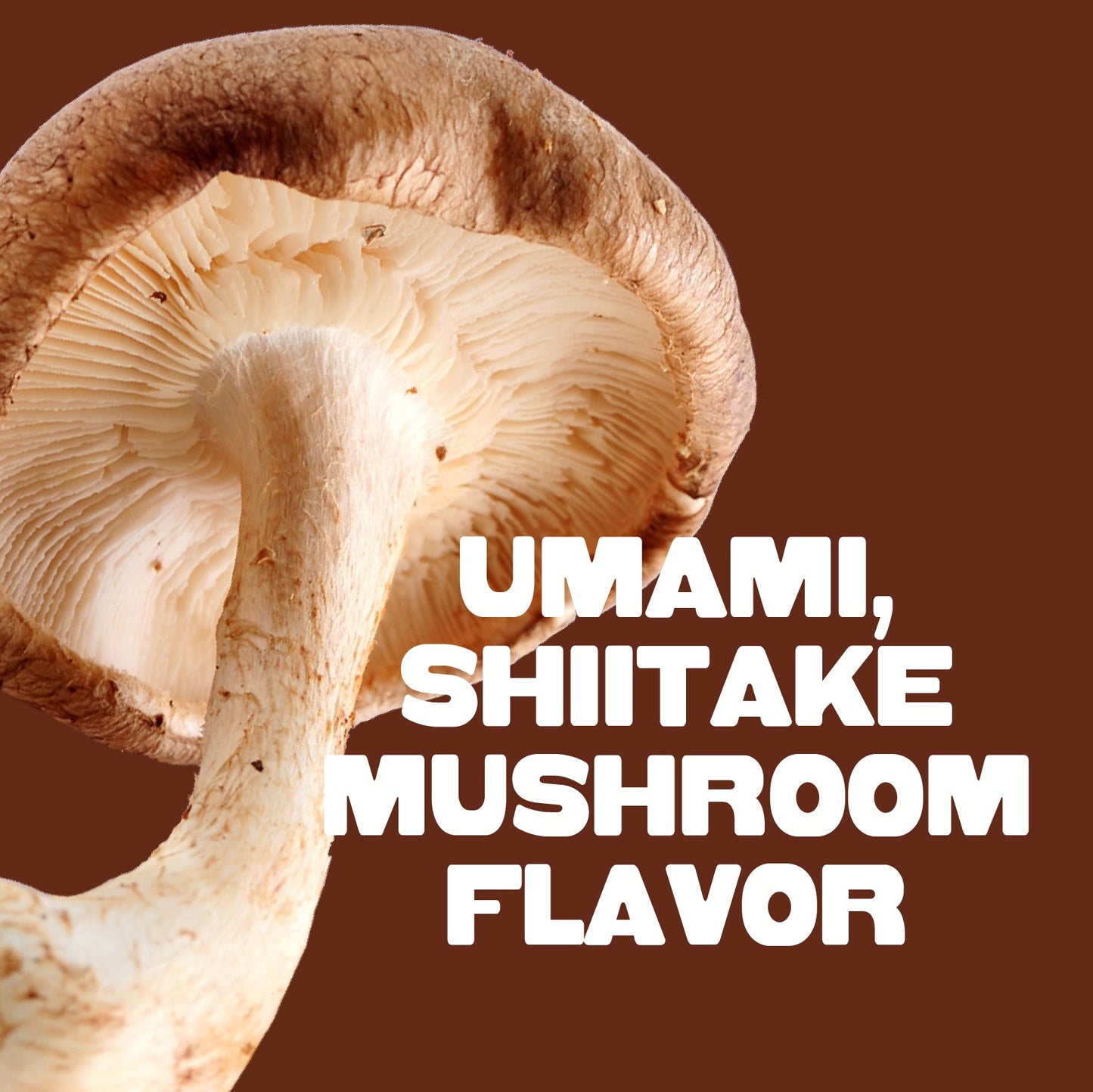 Teriyaki Mushroom Jerky - Vegan America