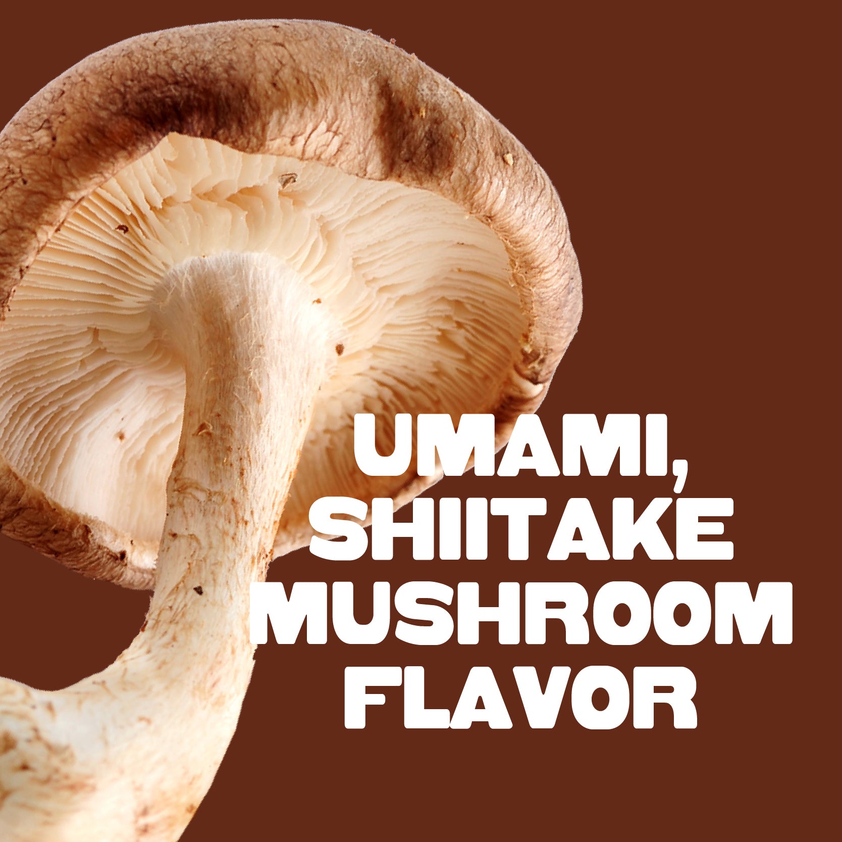 Teriyaki Mushroom Jerky - Vegan America