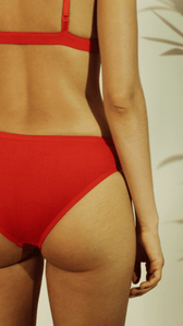 Shanta Brief - Sappan Bark - Vegan America