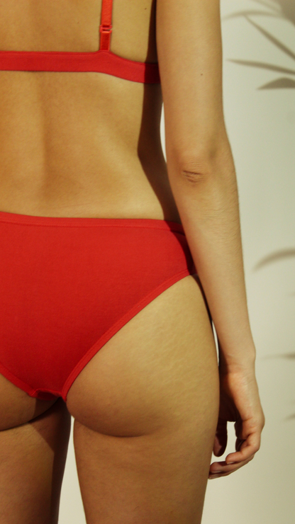 Shanta Brief - Sappan Bark