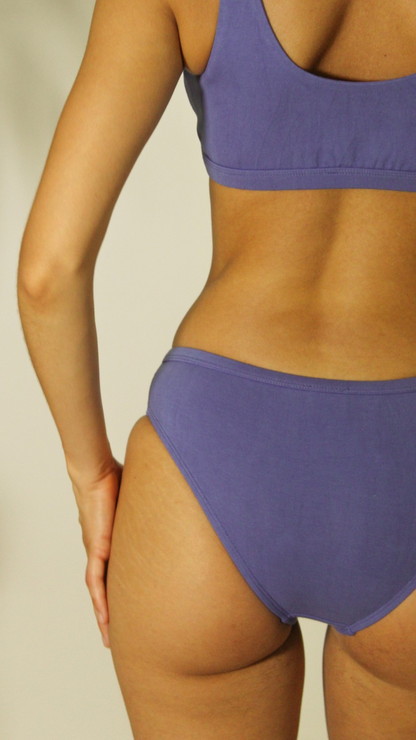 Shanta Brief Pack of 3 - Indigo Flower Blend