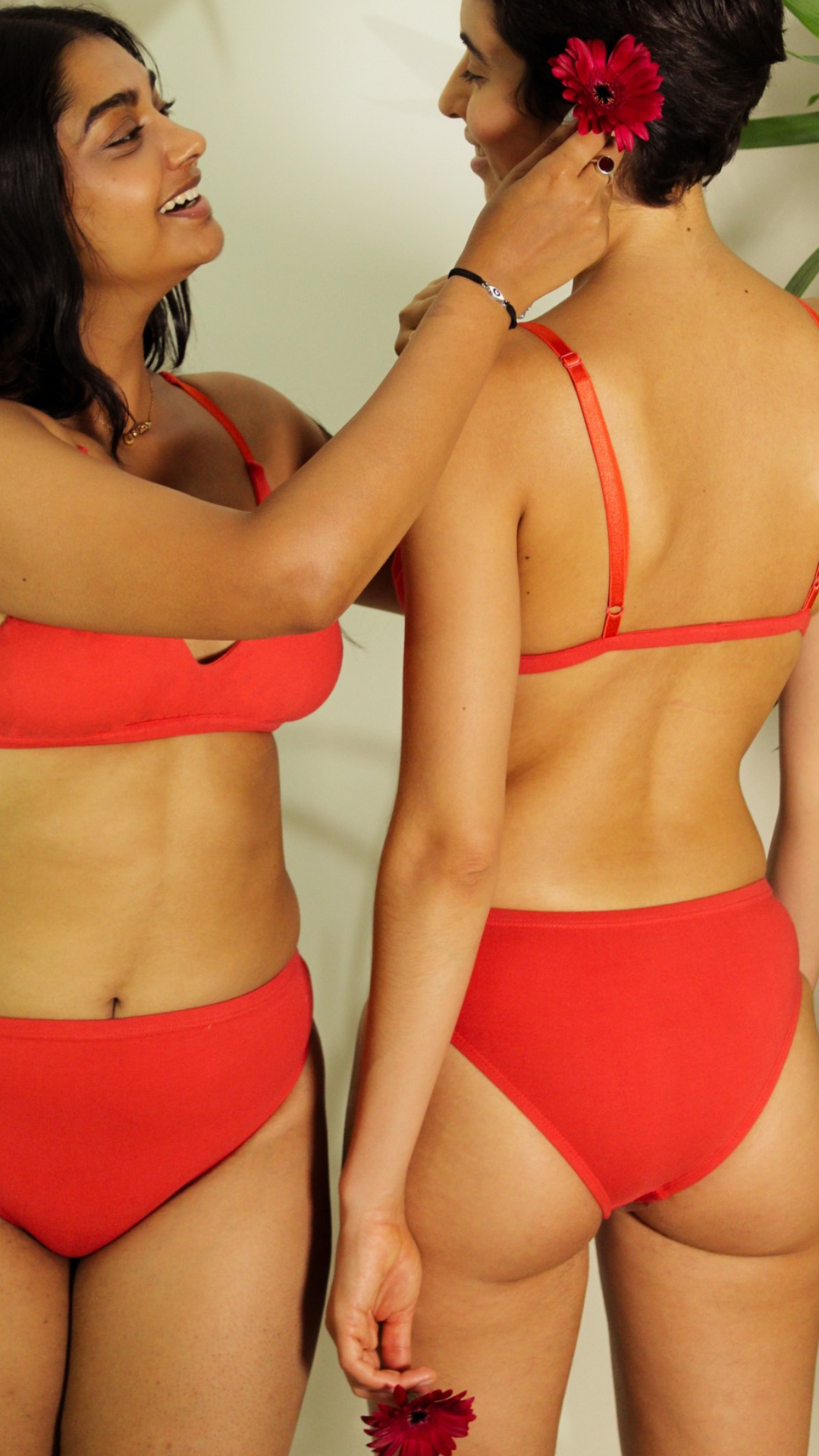 Shanta Brief Pack of 3 - Sappan Bark Blend