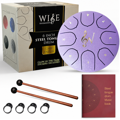 Wise Harmony 6 Inch Steel Tongue Rain Drum