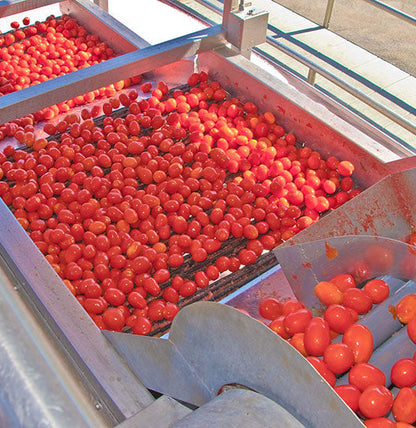 Sun-Dried Tomato Powder 2.2 Oz (60 grams)