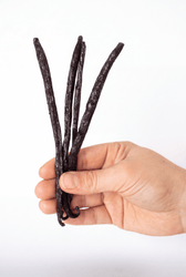 Madagascar Vanilla Beans, Grade A Gourmet Pods - Vegan America