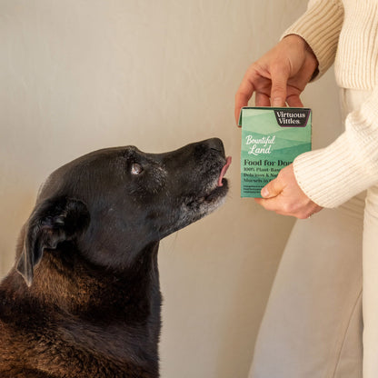 Bark Sampler