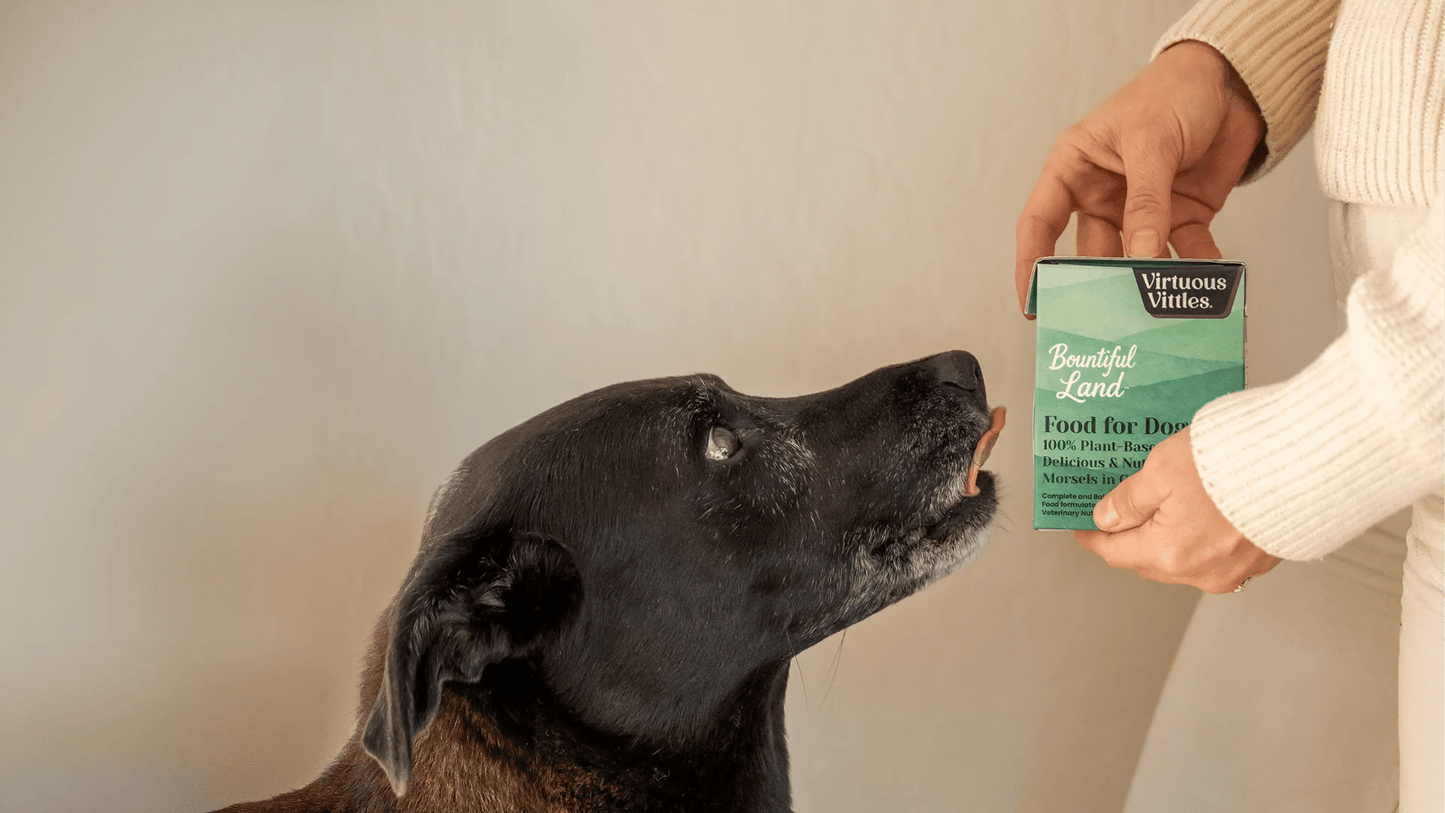 Bountiful Land Food for Dogs - Subscription - Vegan America